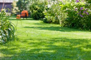 travaux jardin et paysage Ramonchamp